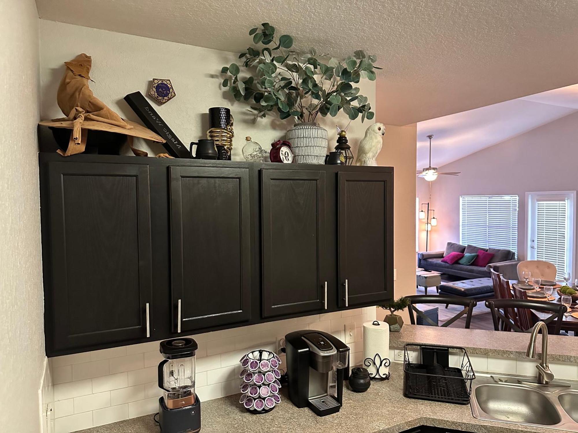 Harry Potter Themed Luxury Apartment 3Bd 2Bth - Universal Studios Orlando Exterior foto